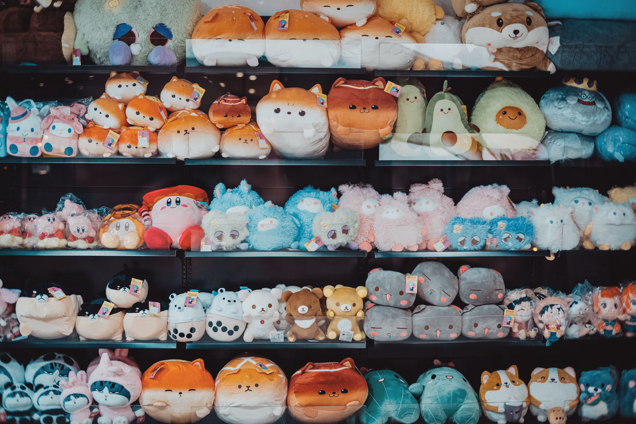 Plush Paradise